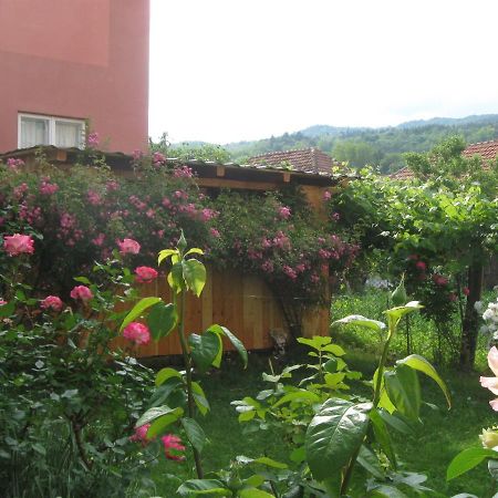 Hotel Casa Fabrizio Călimăneşti Exterior foto